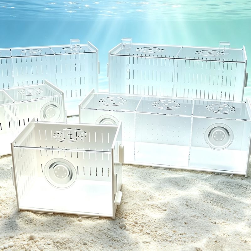 Isolation Fish Tank Separator  - Aquarium Fish Parrot recension och pris