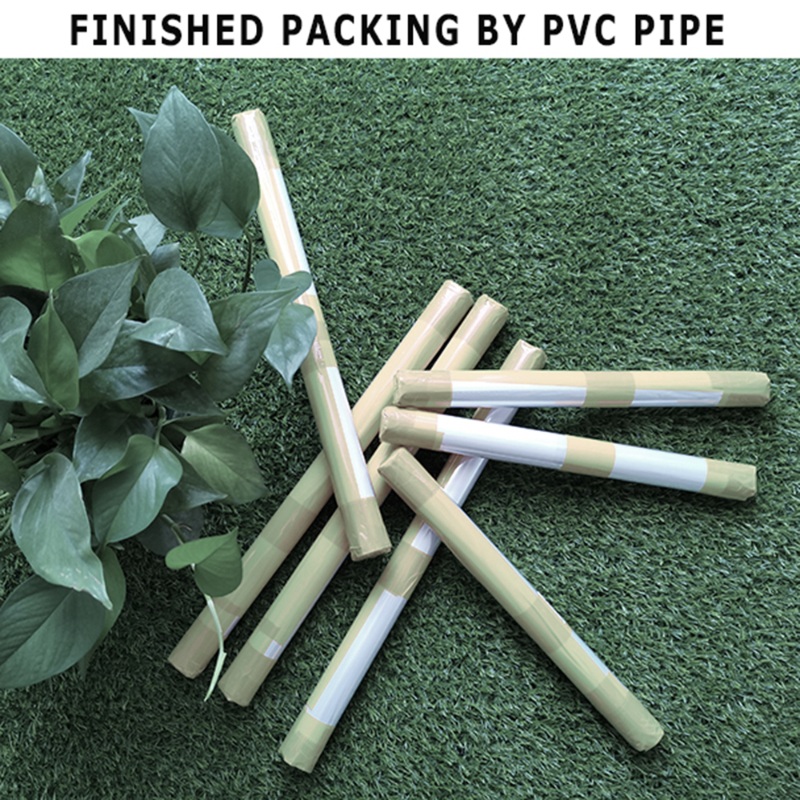 3pcs Sunrise Beach Sea Wave Be - Live Plant Fertilizer recension och pris