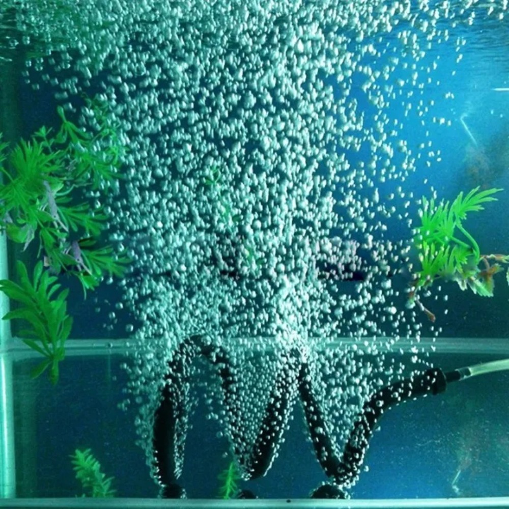 Fish Tank Bubble Bar Rubber La - Aquarium Fish Youtube recension och pris