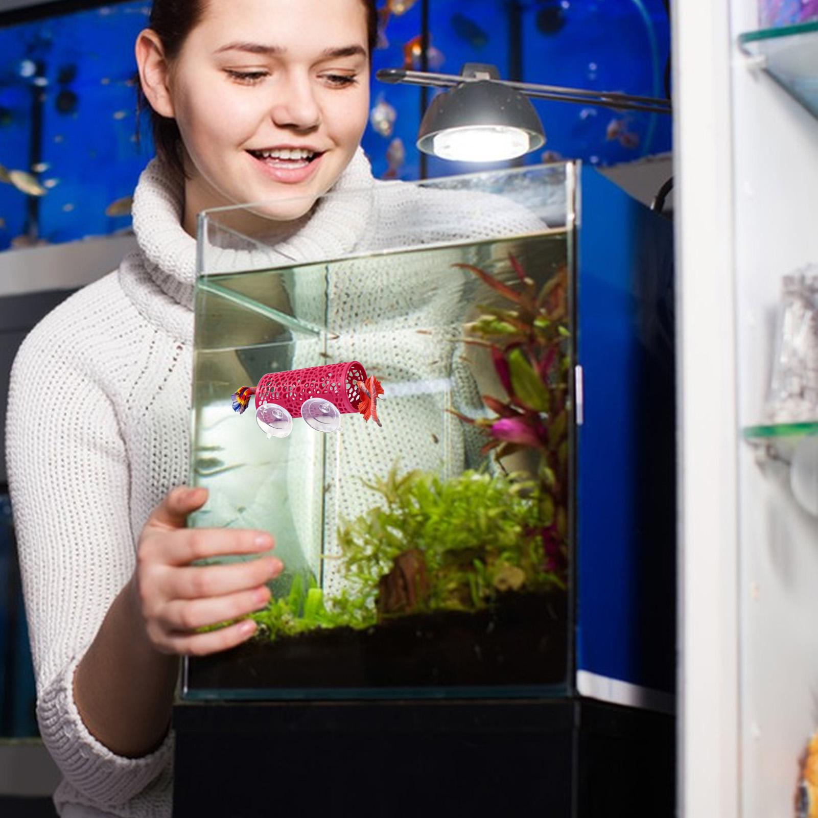 Betta Habitat Resting Shelter  - Aquarium Fish Youtube recension och pris