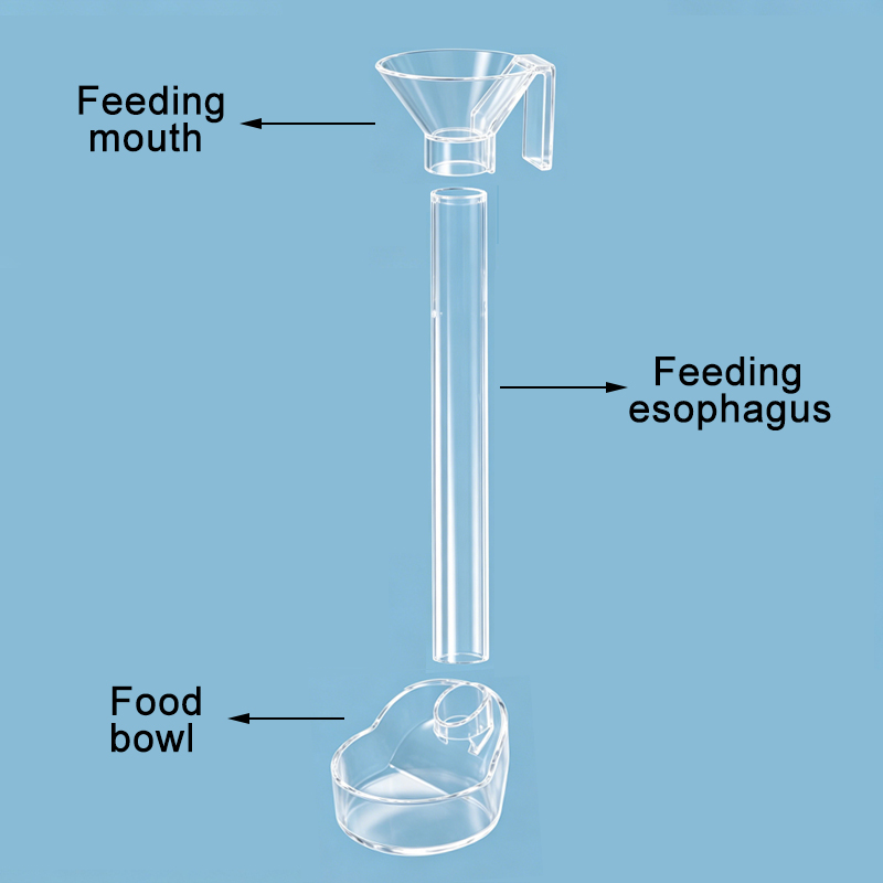 Acrylic Aquarium Fish Feeder T - Aquarium Xxl recension och pris