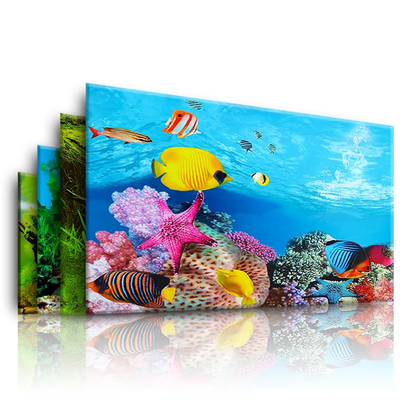 Background for Aquarium 3d  St - Aquarium Fish For Sale Online recension och pris