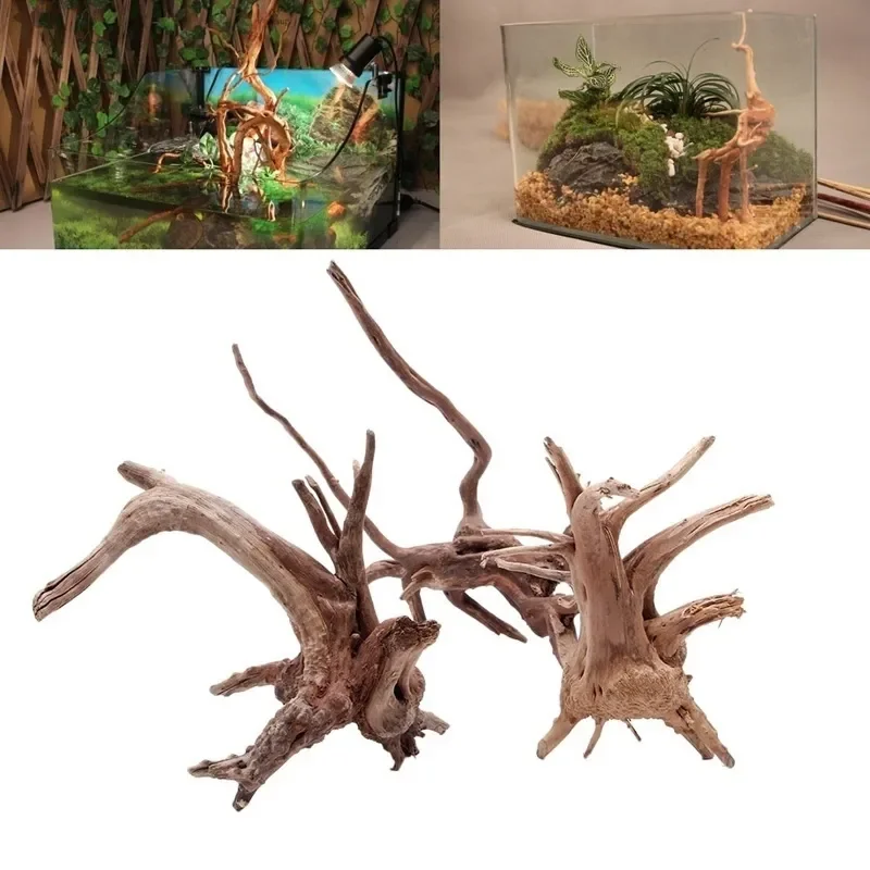 Natural Tree Trunk Driftwood A - Aquarium Fish For Sale Online recension och pris