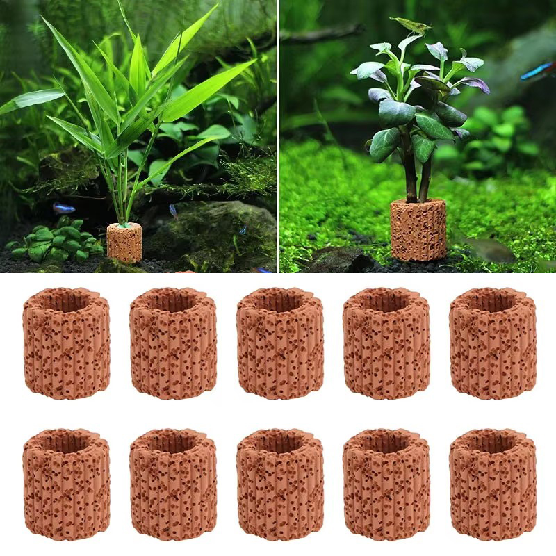 Aquatic Plant Fixed Ring for A - Aquarium Fish For Sale Online recension och pris