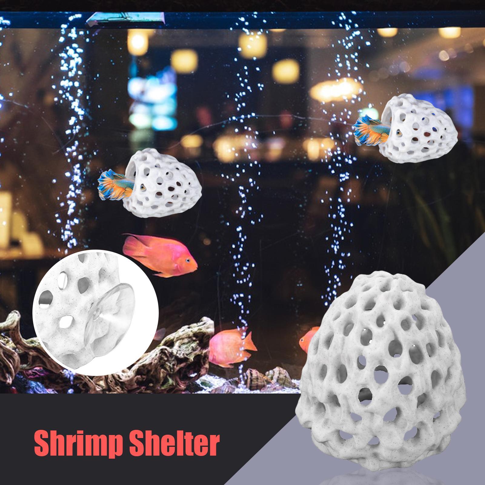 Small Aquarium shrimp house Ca - Aquarium Fish Hiding Spot recension och pris