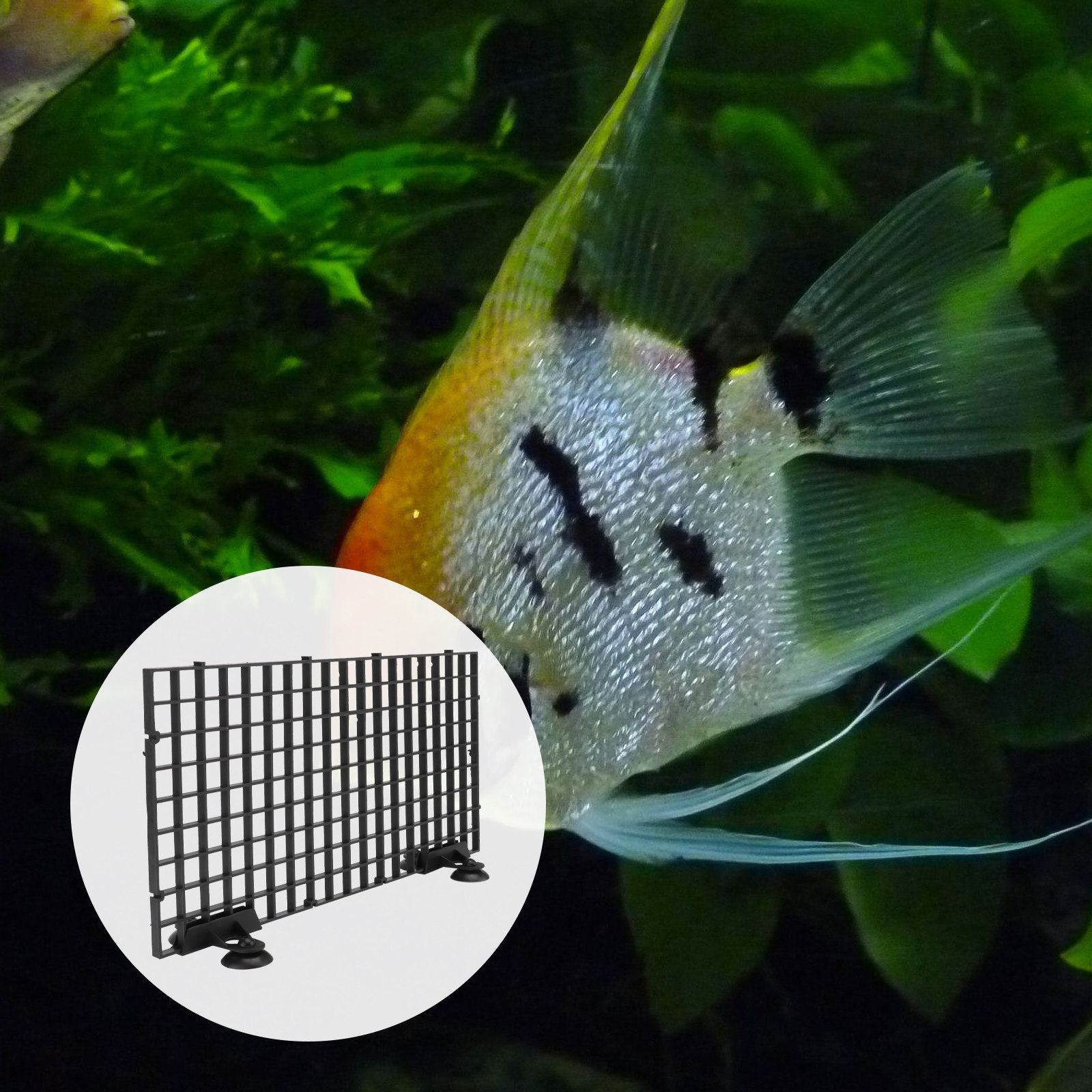 Fish Breeder Net Big Size Blac - Aquarium Fish Net Big Size recension och pris