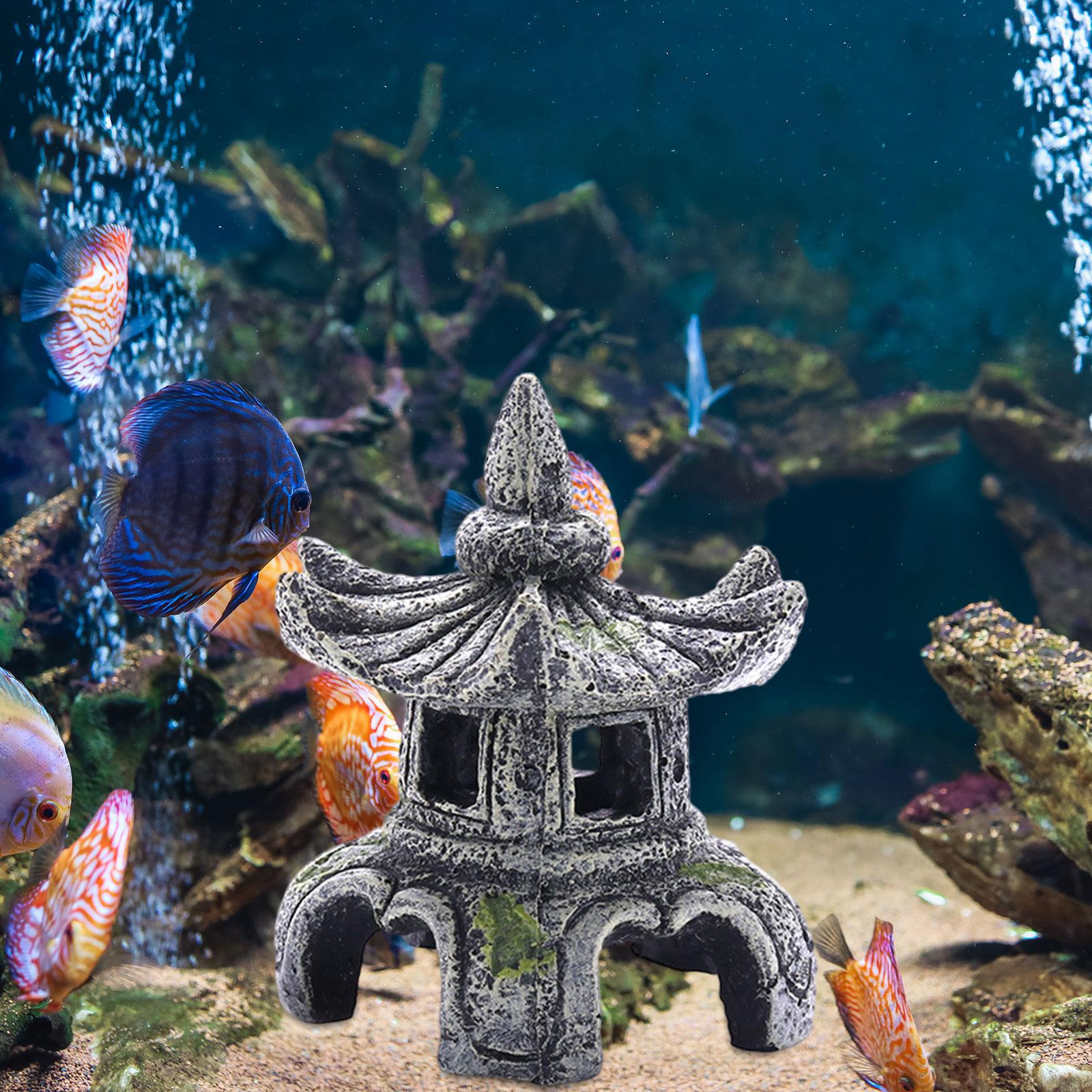 Aquarium Ornament Aquarium Acc - Aquarium Fish For Sale Online recension och pris