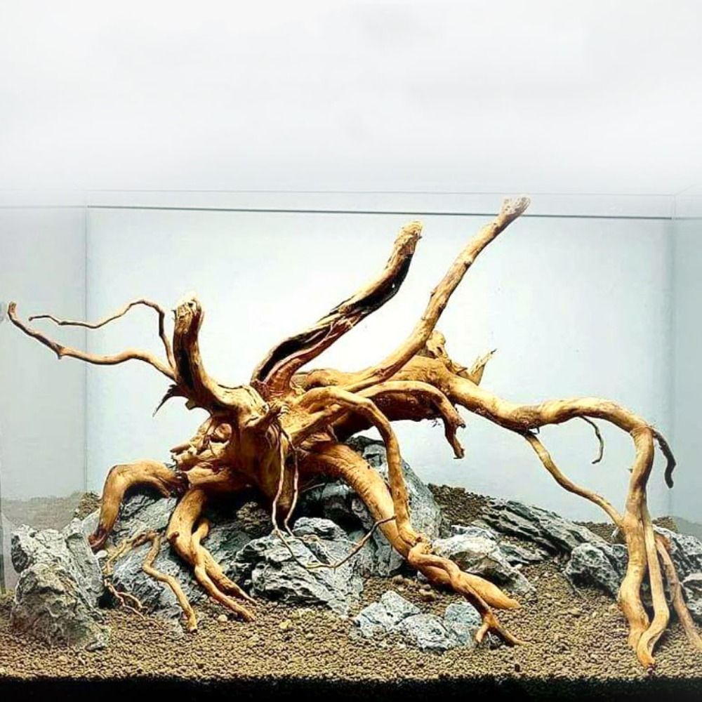 20-25CM Large Aquarium Driftwo - Aquarium Xxl recension och pris