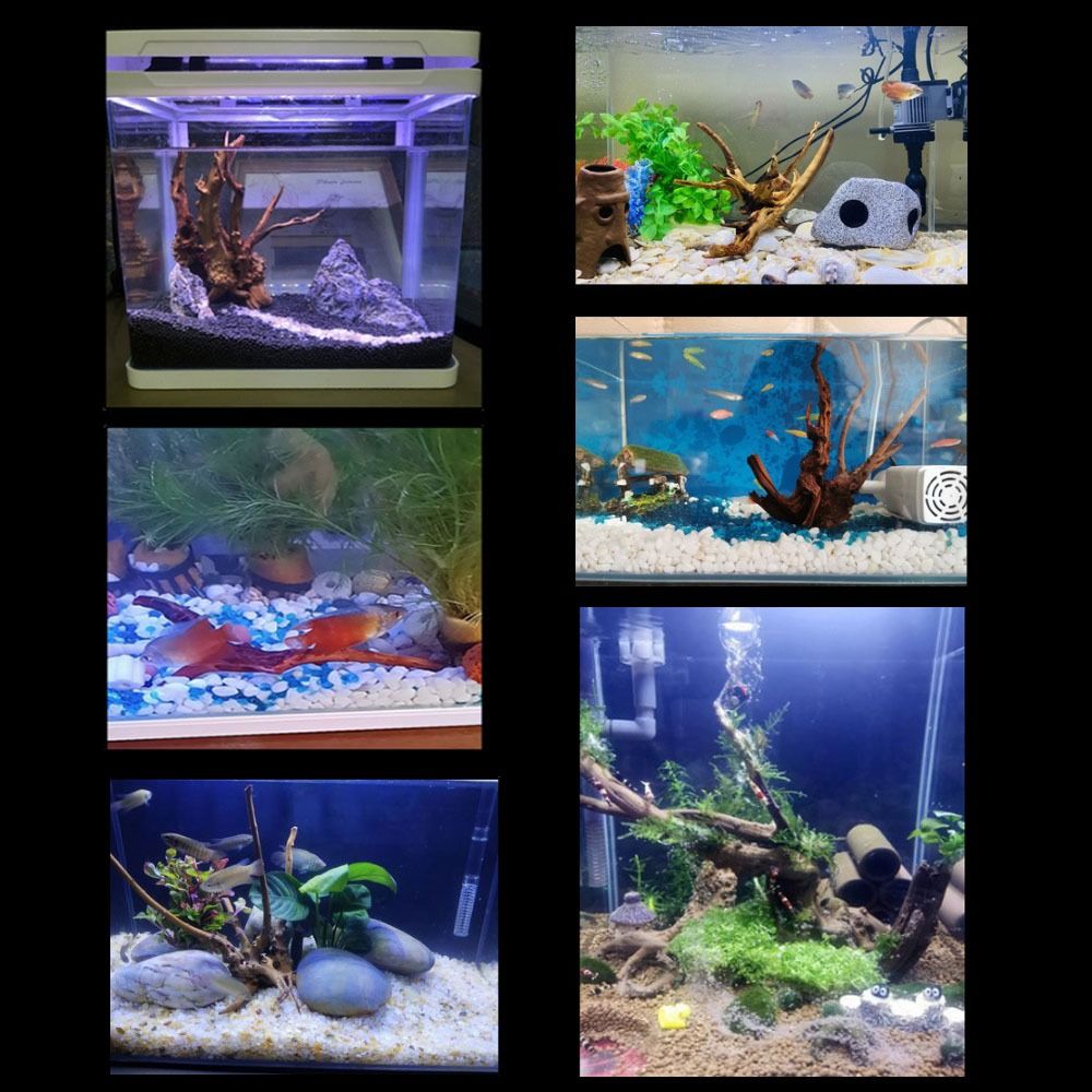 20-25CM Large Aquarium Driftwo - Aquarium Xxl recension och pris