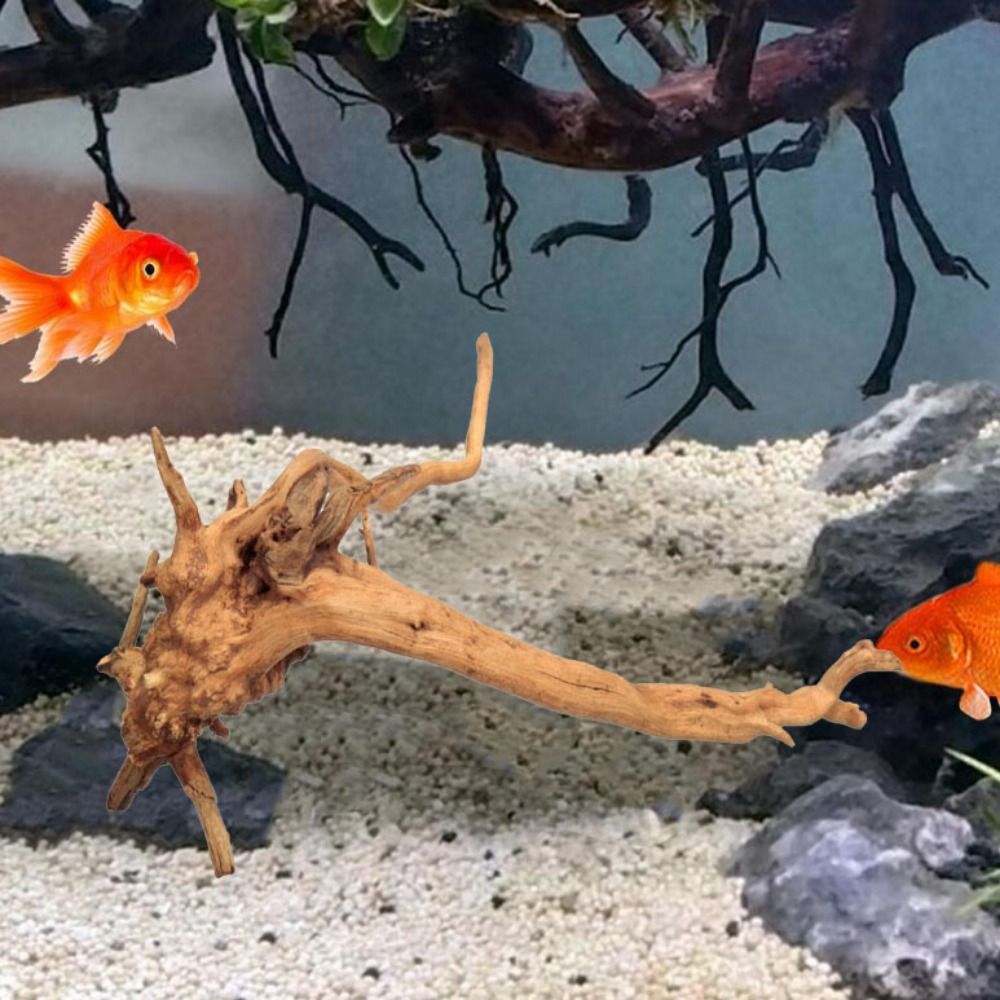 20-25CM Large Aquarium Driftwo - Aquarium Xxl recension och pris
