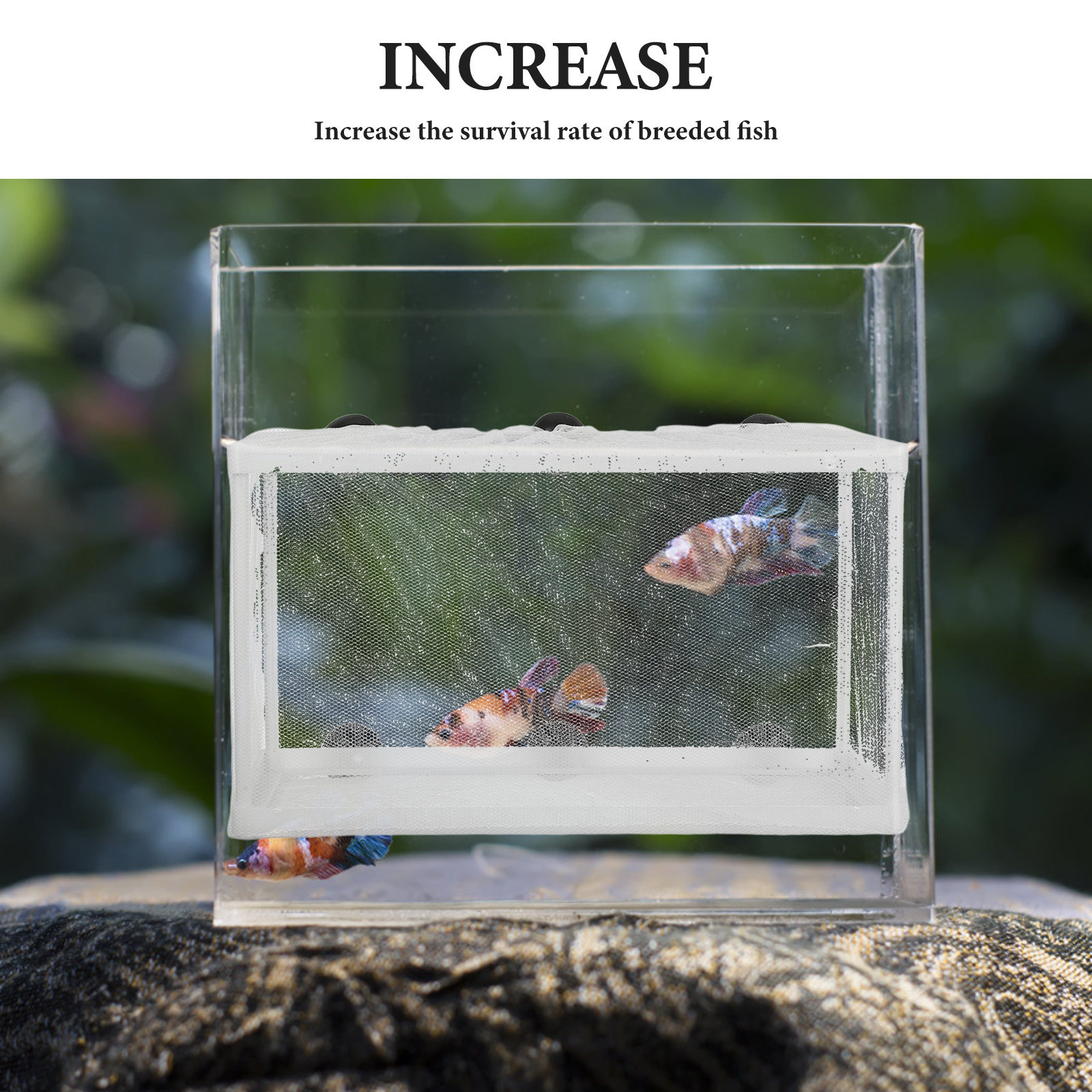 Fish Net Big Size Fish Box Hat - Aquarium Fish Net Big Size recension och pris