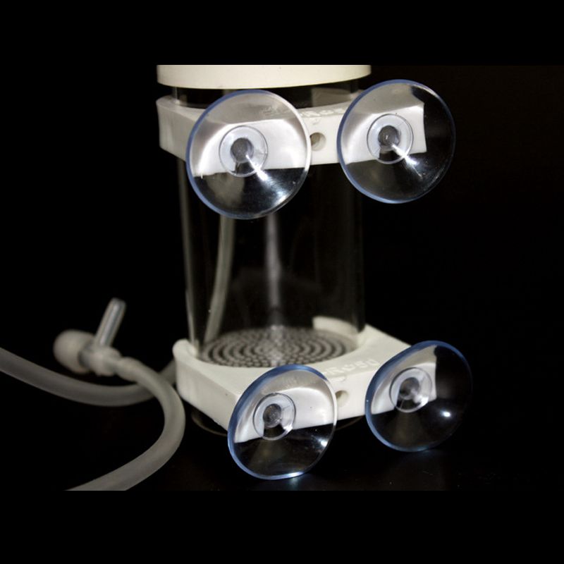 Aquarium Cichlids Tumbler Fish - Aquarium Fish In recension och pris