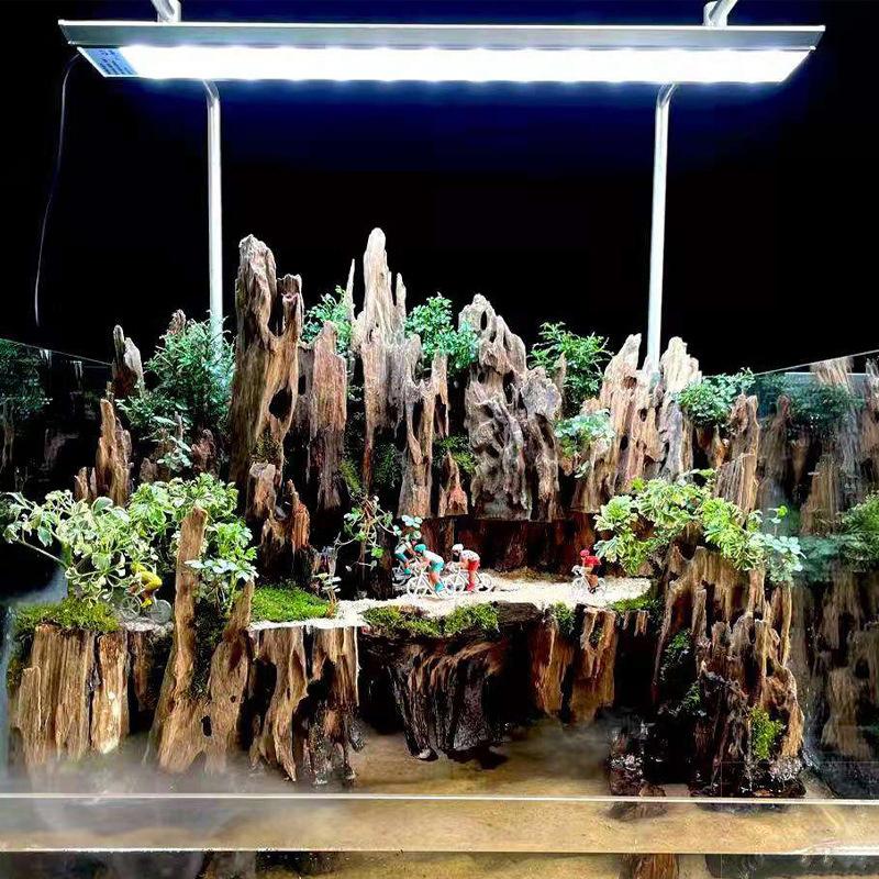 △ Shrimp Wood Aquarium Decor,  - Aquarium Fish For Sale Online recension och pris