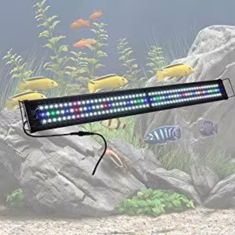 China Supplier Fish Tank Light - Aquarium Fish Supplier recension och pris