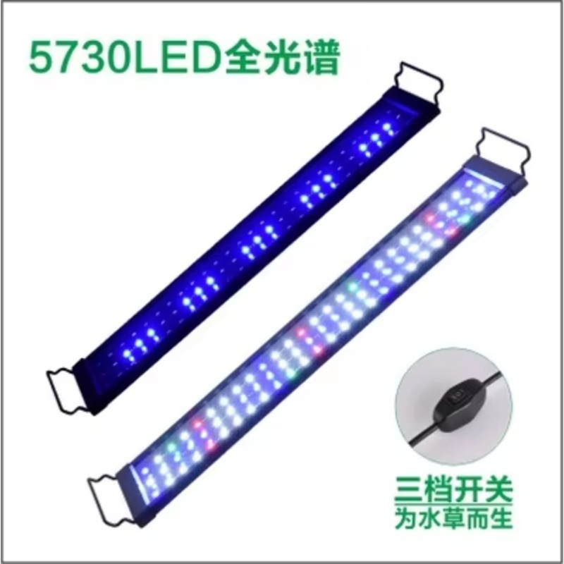 China Supplier Fish Tank Light - Aquarium Fish Supplier recension och pris