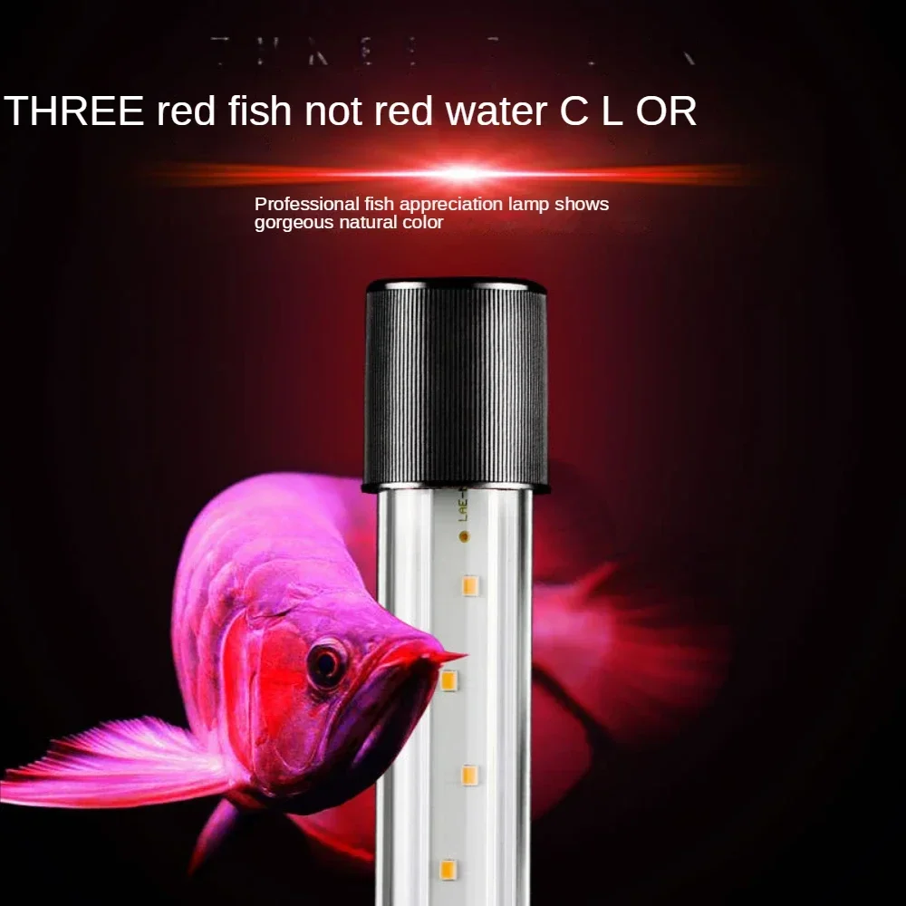 Arowana Lamp, LED Glass Aquari - Aquarium Fish Parrot recension och pris